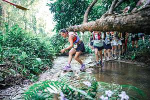 BIB: 
                            <button type="button" onclick="openModal(25466194)" class="btn btn-primary btn-sm float-right btn-popup" data-toggle="modal" data-target=".modal-high-quality">
                        <i class="fas fa-shopping-cart"></i> Add to Cart
                    </button>
                                            <button type="button" onclick="isThisMe(25466194, true)" class="btn btn-success btn-sm float-right btn-popup btn-isme hidden" data-toggle="tooltip" data-placement="bottom" title="นี่คือรูปของคุณใช่ไหม คลิกที่นี่เพื่อเอาเข้าอัลบั้ม">
                        <i class="fas fa-plus"></i> Add to album
                    </button>
                    <button type="button" onclick="isThisMe(25466194, false)" class="btn btn-warning btn-sm float-right btn-popup btn-isnotme hidden">
                        <i class="fas fa-ban"></i> Remove from album
                    </button>